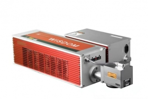 L300二氧化碳激（jī）光噴（pēn）碼機
